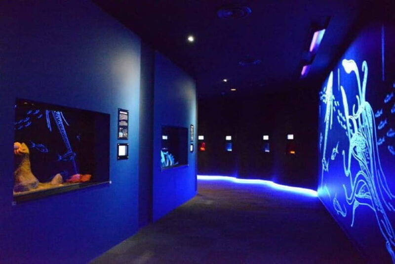Kagoshima Aquarium Admission Ticket - Exploring the Kagoshima Aquarium: A Practical Guide