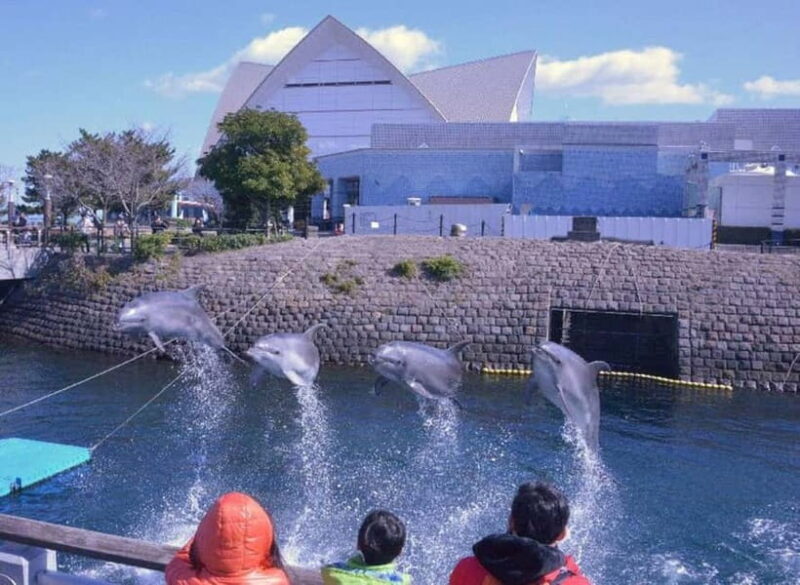 Kagoshima Aquarium Admission Ticket - Who Will Enjoy This Experience?