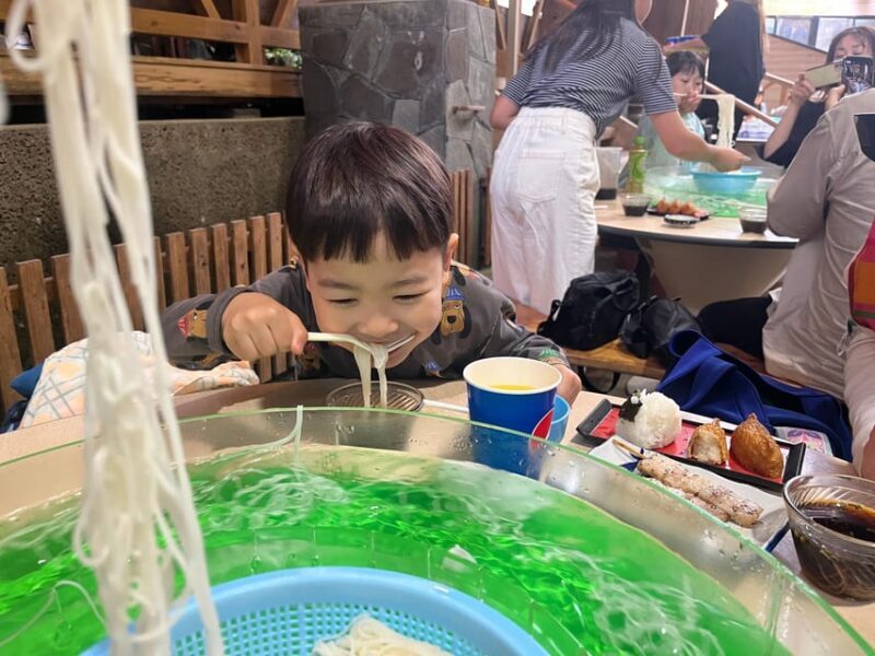 Kagoshima: Ibusuki City and Mount Kaimon Dake Tour - The Value of This Tour