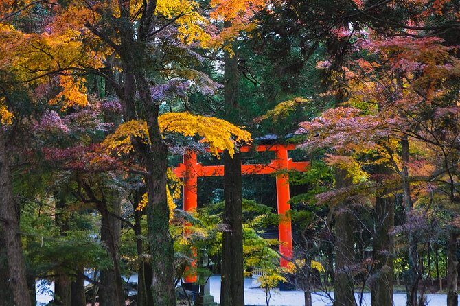Kagoshima Private Customized Full Day Tour - Key Points