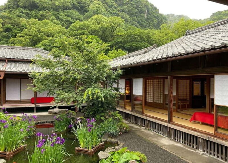 Kagoshima: Volcano & Nature Immersion Private Guided Tour - Discovering Kagoshima: Volcano & Nature Immersion Private Guided Tour