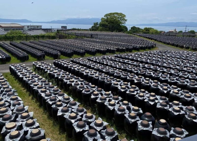 Kagoshima: Volcano & Nature Immersion Private Guided Tour - An In-Depth Look at the Kagoshima Volcano & Nature Tour