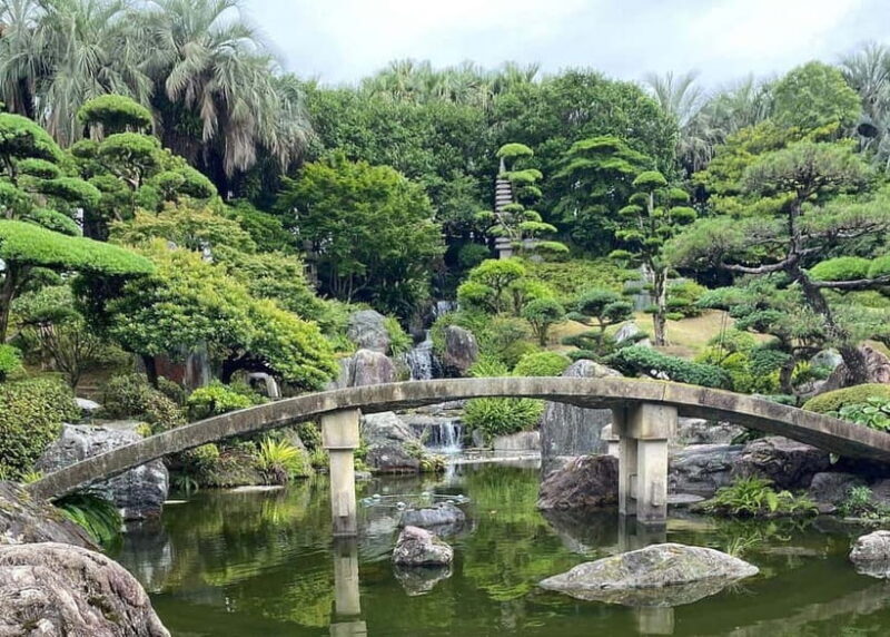 Kagoshima: Volcano & Nature Immersion Private Guided Tour - Why This Tour Offers Good Value