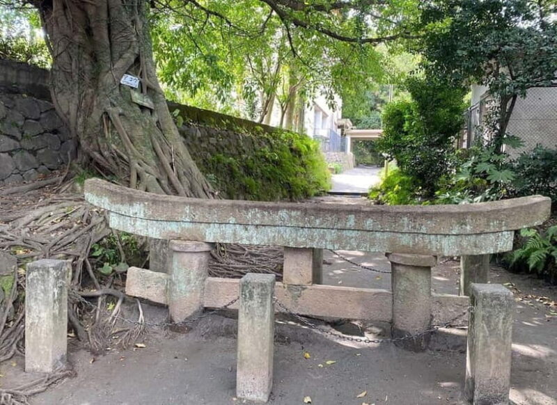 Kagoshima: Volcano & Nature Immersion Private Guided Tour - FAQ