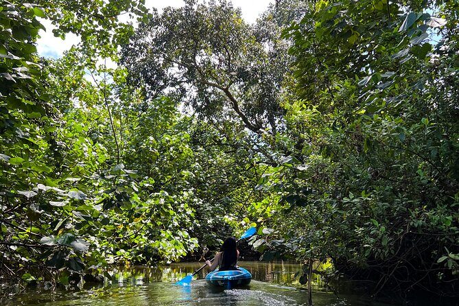 Kahana Bay River to Ocean: Kayak and Stand Up Paddle Board Rental - Kahana Bay River to Ocean: Kayak and Stand Up Paddle Board Rental — A Practical Review