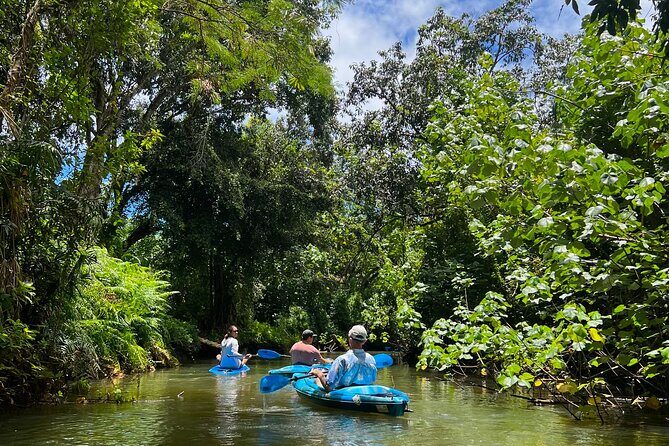 Kahana Bay River to Ocean: Kayak and Stand Up Paddle Board Rental - The Sum Up