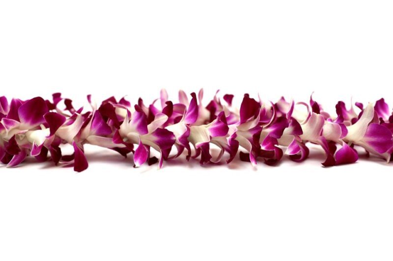 Kahului Airport: Maui Flower Lei Greeting Upon Arrival - The Practical Details