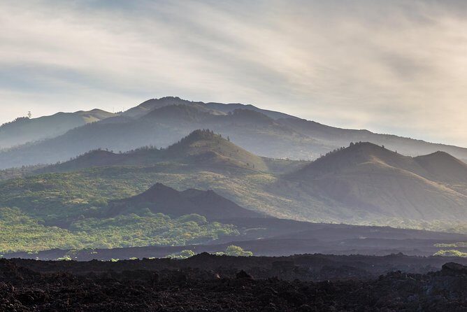 Kahului Shore Excursion: Private Tropics of Maui & Rainforest - Who Would Appreciate This Tour?