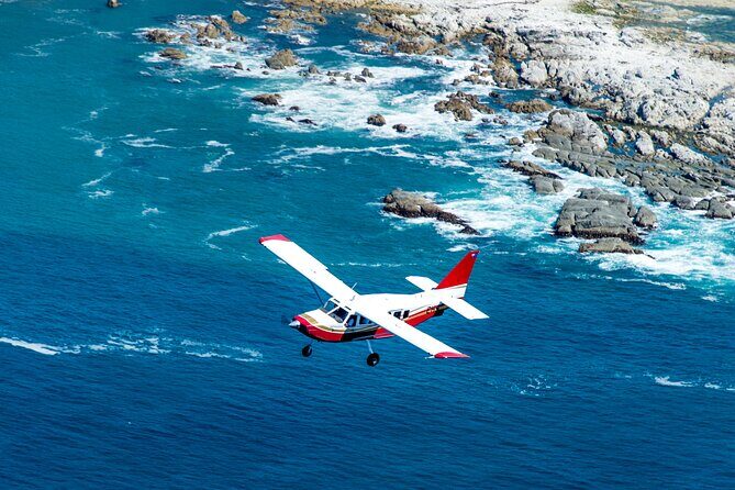 Kaikoura: Coastal and Alpine Scenic Airplane Flight - Key Points