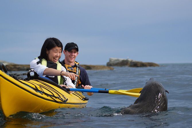 Kaikoura: Coastal and Alpine Scenic Airplane Flight - FAQs