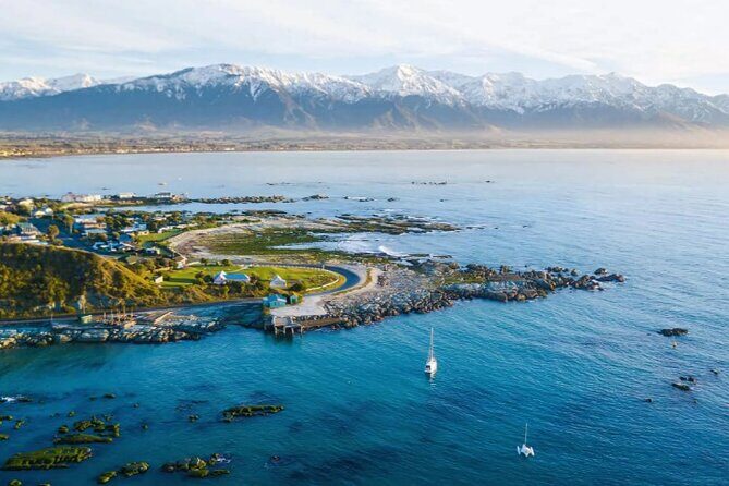 Kaikoura Day Tour From Christchurch - Overview: Why This Tour Deserves a Spot on Your Itinerary
