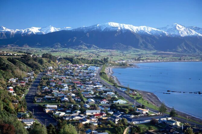 Kaikoura Day Tour From Christchurch - FAQ: Practical Questions About the Tour