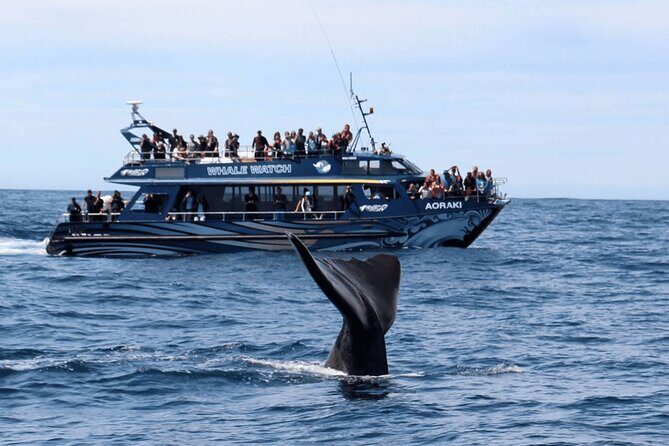 Kaikoura Day Trip including Whale Watch from Christchurch - Key Points
