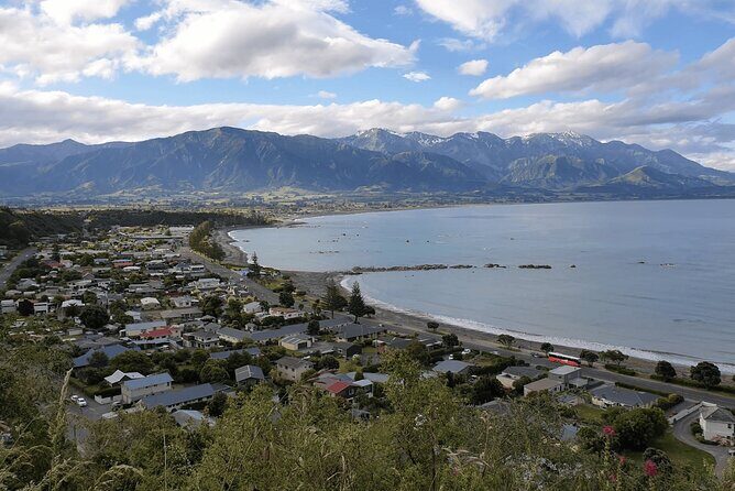 Kaikoura Day Trip including Whale Watch from Christchurch - Final Thoughts