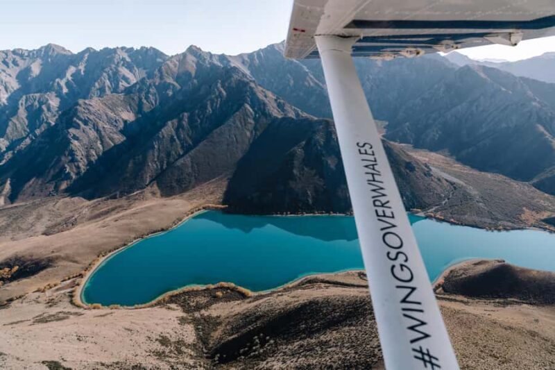 Kaikoura: Extended Flight Whale Watching & Mountain Tour - An In-Depth Look at the Kaikoura Air Tour Experience