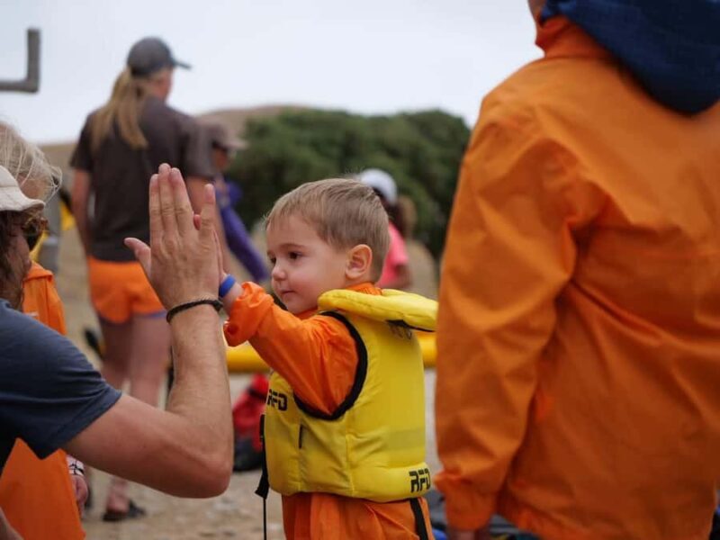 Kaikoura: Guided Family Kayaking Adventure - What to Expect on Your Kayaking Adventure in Kaikoura