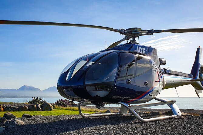 Kaikoura Helicopters Extended Whale Watch - Who Should Consider This Tour?