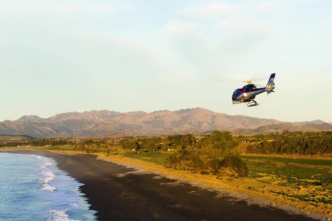 Kaikoura Helicopters Extended Whale Watch - The Sum Up: Is It Worth It?