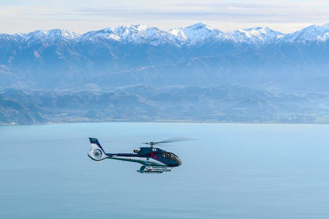 Kaikoura Helicopters Extended Whale Watch - FAQ