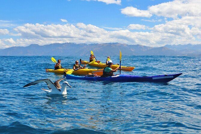 Kaikoura Kayaking Adventure Small Group Tour from Christchurch - The Itinerary in Detail: What to Expect
