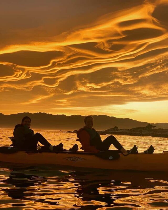 Kaikoura: Private Guided Kayak Tour with Seals - Who Will Love This Tour?