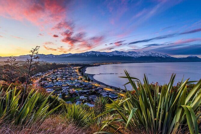 Kaikoura Private Whale Watching Day Trip from Christchurch - Transportation & Comfort