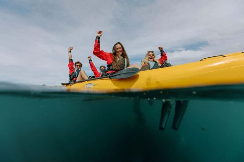 Kaikoura: Seal-Watching Pedal Kayak Tour - An Authentic Marine Experience in Kaikoura