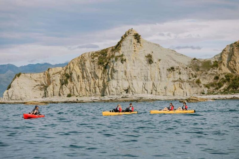 Kaikoura: Seal-Watching Pedal Kayak Tour - Who Should Consider This Tour?