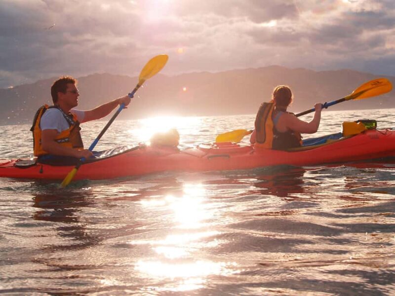 Kaikoura: Sunset Evening Kayaking Tour - The Experience of Paddling with Wildlife