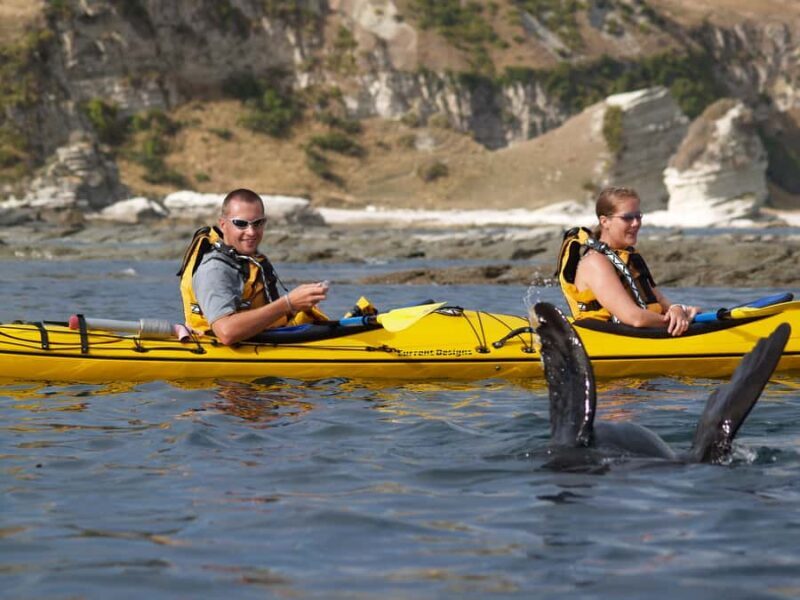 Kaikoura: Sunset Evening Kayaking Tour - FAQ