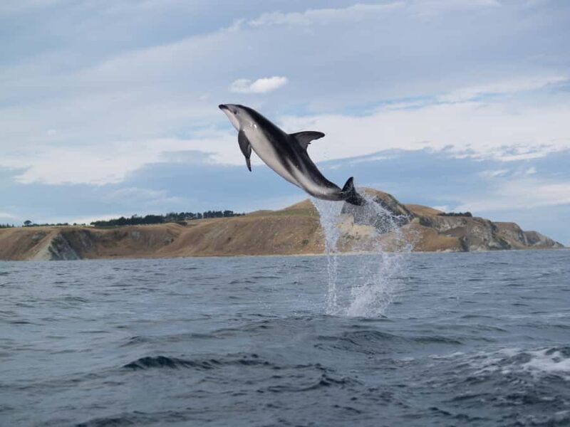 Kaikoura: Sunset Evening Kayaking Tour - Final Thoughts