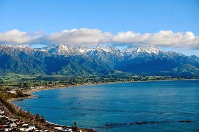 Kaikoura Swim with Dolphins Tour from Christchurch - An In-Depth Look at the Experience