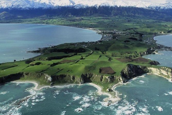 Kaikoura Swim with Dolphins Tour from Christchurch - Who Should Consider This Tour?