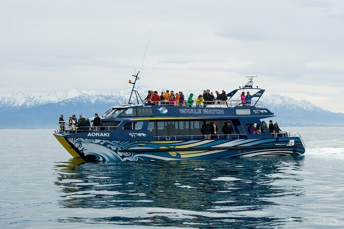 Kaikoura Whale and Dolphin Overnight Tour from Christchurch - Day 2: Dolphin Swimming, Seal Colony, and Return