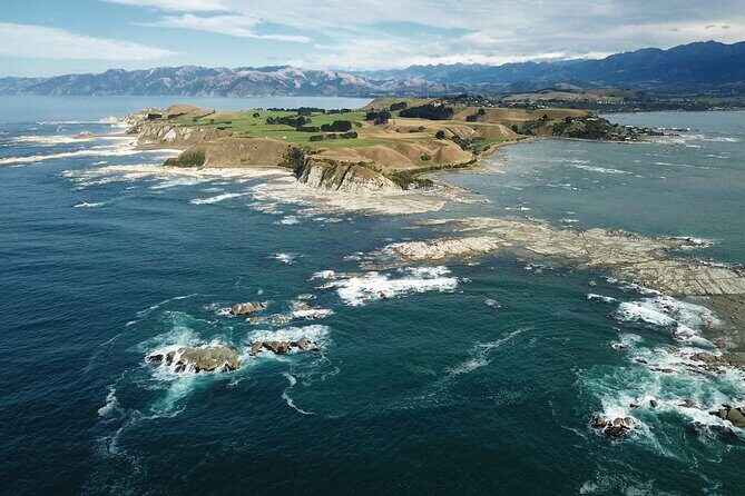 Kaikoura Whale Watch Tour from Christchurch - Small Group - A Deep Dive into the Experience