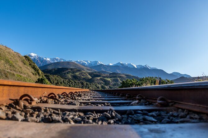 Kaikoura Whale Watch Tour from Christchurch - Small Group - Who Will Love This Tour?