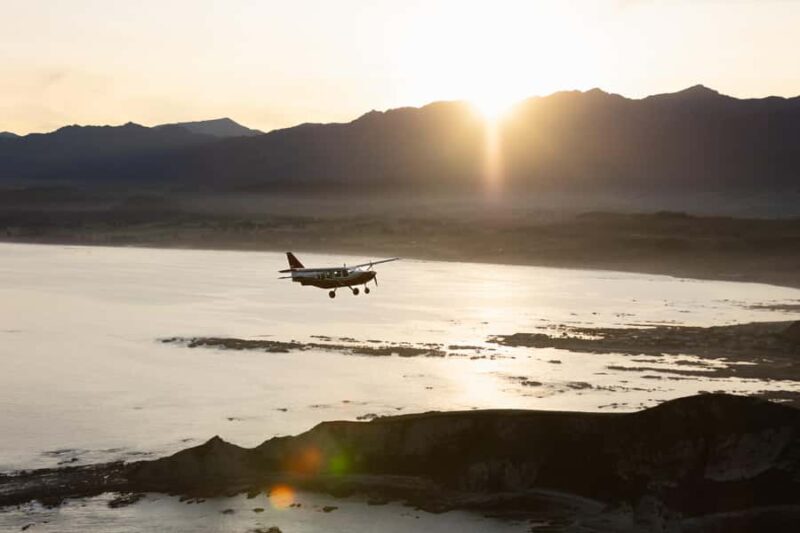 Kaikoura: Whale Watching Flight with Commentary - A Detailed Look at the Experience