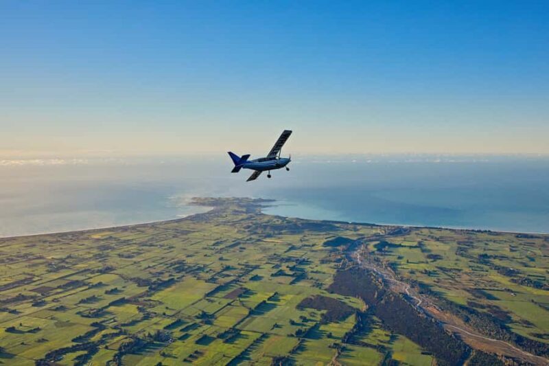 Kaikoura: Whale Watching Flight with Guided Commentary - Key Points