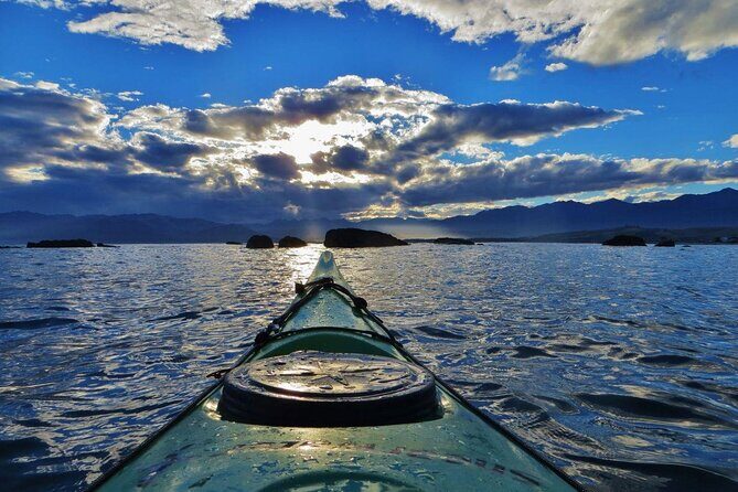Kaikura Day Tour With Kayak Experience From Christchurch - Key Points