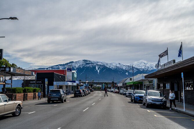 Kaikura Day Tour With Kayak Experience From Christchurch - Who Should Consider This Tour?