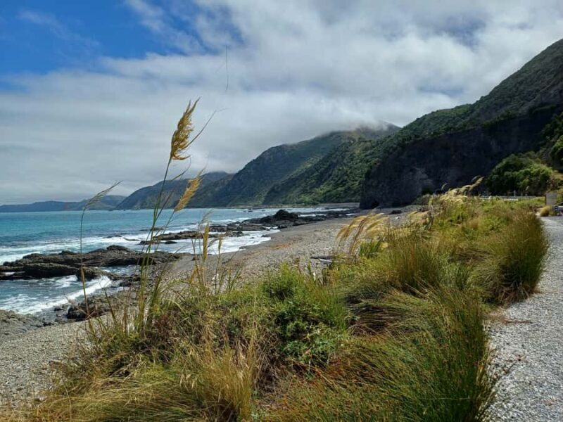 Kaikura: Small Group Tour- optional Whale, Dolphin, Zipline - Why This Tour Works for Travelers