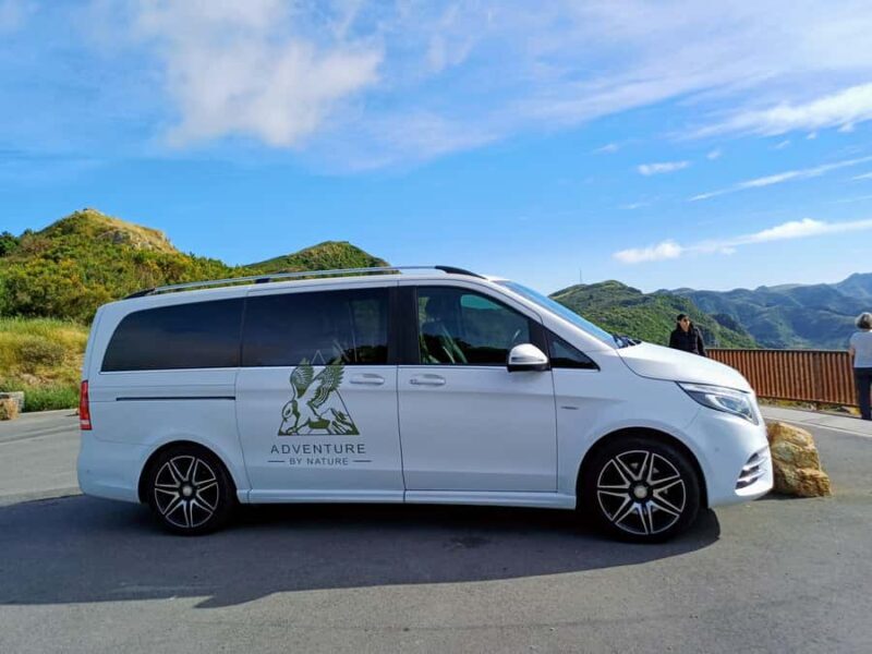 Kaikura: Small Group Tour- optional Whale, Dolphin, Zipline - Final Thoughts