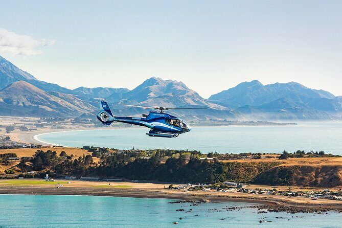 Kaikura Whale Watching and Scenic Landing - 1hr Premier Tour - Why Choose the Kaikoura Helicopter and Scenic Landing Tour?