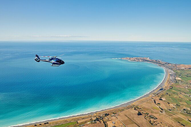 Kaikura Whale Watching and Scenic Landing - 1hr Premier Tour - Who Will Love This Tour?