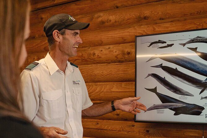 Kaikura Whale Watching and Scenic Landing - 1hr Premier Tour - The Sum Up