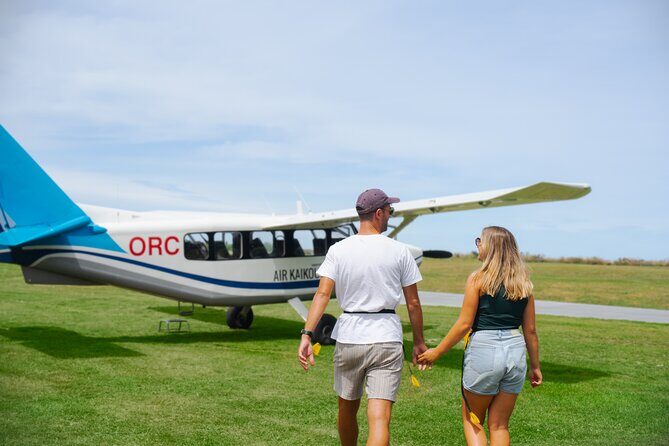 Kaikura Whale Watching Scenic Flight (40 Minutes) - What to Expect on Your Kaikoura Whale Watching Scenic Flight