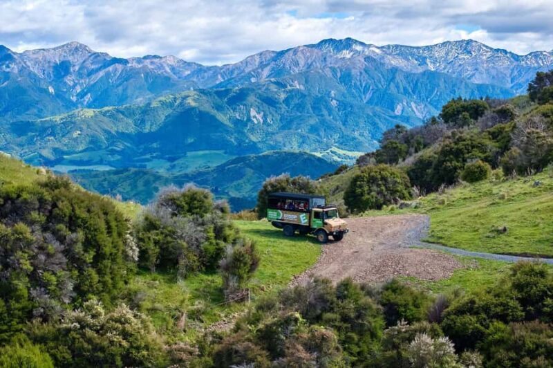 Kaikura: Zipline and Native Forest Adventure Trip - Key Points