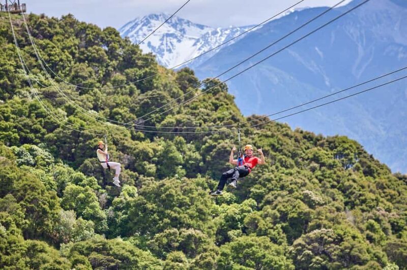 Kaikura: Zipline and Native Forest Adventure Trip - The Itinerary: What You Can Expect