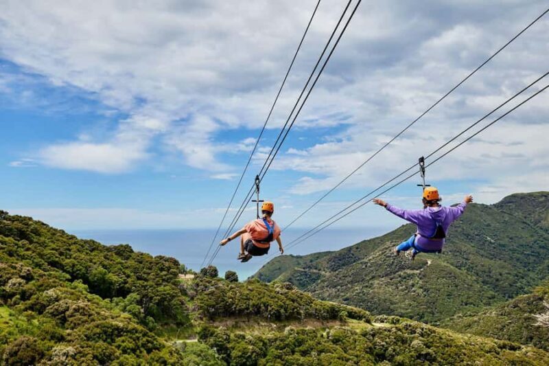Kaikura: Zipline and Native Forest Adventure Trip - Final Thoughts