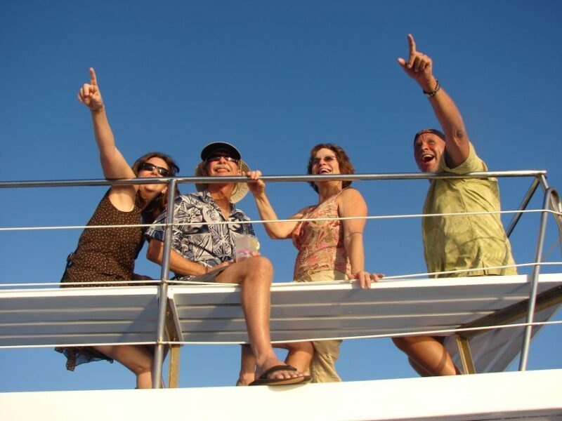 Kailua Kona: Humpback Whale Watching Adventure Cruise - Key Points